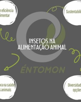 Entomon